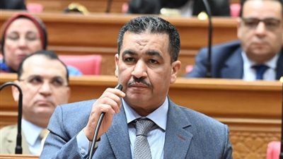 النائب محمود المنوفي 