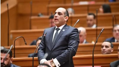 النائب عبده مأمون شحاتة 