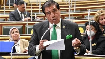 برلماني: مصر تقود معركة وقف العدوان وحماية الأمن القومي العربي 