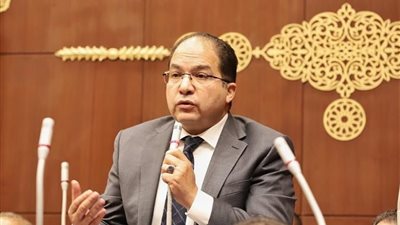 النائب عادل اللمعي  