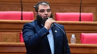 النائب حمادة سليمان  