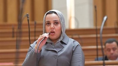  النائبة دنيا هاني سيف  