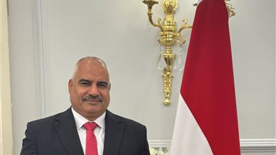 النائب محمد الدماطي 