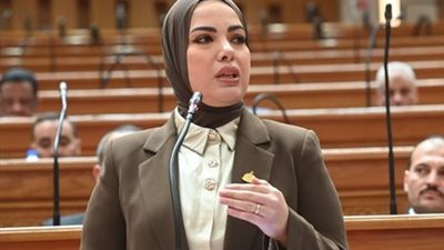 النائبة آية عبد الرحمن 