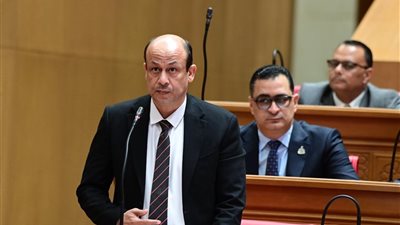 البيومي يطالب بكشف الحقائق حول ما أثير حول تجاوزات بمستشفى الشاطبي الجامعي