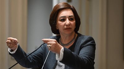  النائبة مها عبد الناصر 