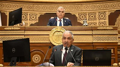 وكيل الشيوخ: قانون الشركات عمره 44 عامًا ويحتاج تحديثًا لمواكبة المتغيرات