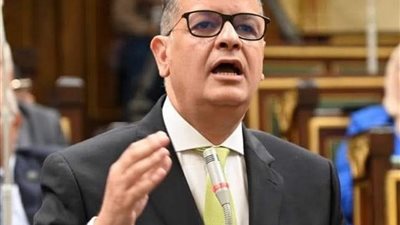 طارق رضوان يطالب الحكومة بتقارير دورية عن تنفيذ الموازنة أمام البرلمان
