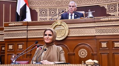 توافق بين أعضاء الشيوخ لضرورة الإسراع في تعديل قانون الشركات الحالي