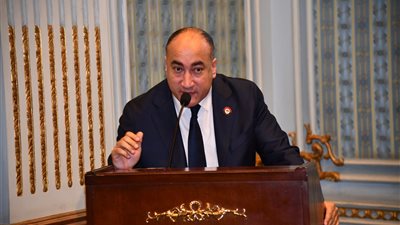 لخدمة 2 مليون مواطن.. برلماني يطالب بإنشاء مستشفى حكومي بأرض اللواء  