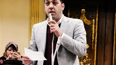 أحمد عصام: لقاء رئيس النواب جاء مثمرا بهدف تنسيق العمل تحت قبة البرلمان 