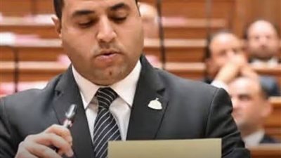 مليار جنيه رقم لا يمكن قبوله.. برلماني يطالب بزيادة مخصصات دعم الفلاح  