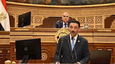 الشيوخ يناقش طلب محمد رزق بشأن سياسة الحكومة لمواجهة تحديات المشروعات