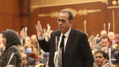برلمانية الوفد: خالص الشكر للرئيس السيسي الذي أعاد هذا المجلس للحياة  