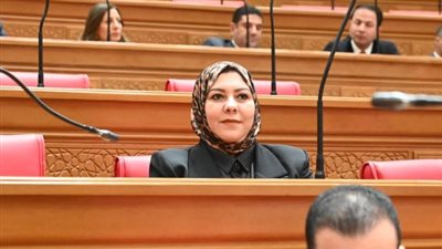 برلماني: زيادة المعاشات تؤكد الحرص علي تخفيف الأعباء المعيشية عن المواطن 