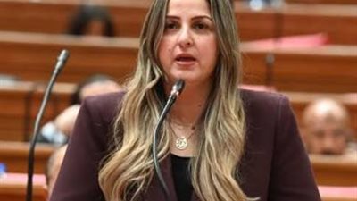 النائبة لبنى عبد العزيز 