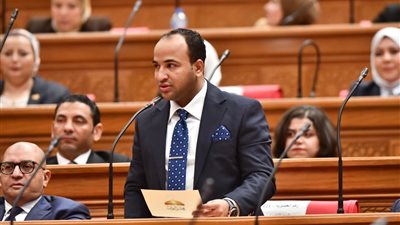 وسيم كمال عثمان: الحضور بمنظمة التعاون الإسلامي يؤكد محورية الدور المصري