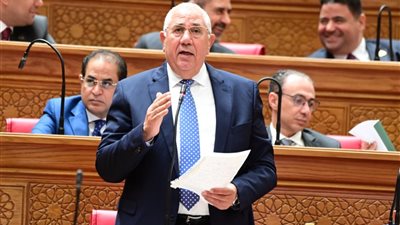 السيد القصير: ثورة 30 يونيو من أهم المحطات الفارقة في تاريخ مصر الحديث