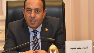 محمد شعيب: زيادة المعاشات تؤكد أن المواطن المصري في صدارة الأولويات  