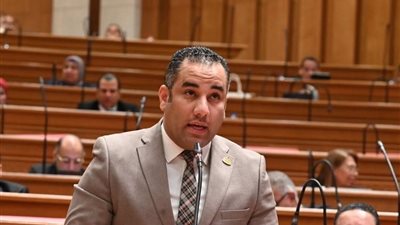النائب أحمد علي إبراهيم  