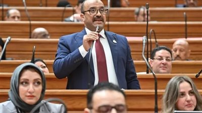 النائب نادي عبد الرسول  