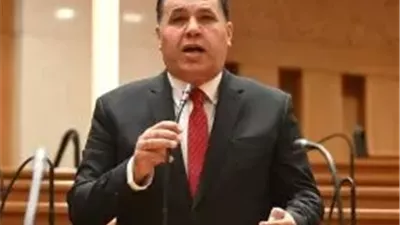 النائب عماد الغنيمي  