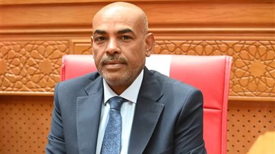 النائب محمد أبو الخير 