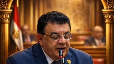  النائب عزت عبد الرحمن 