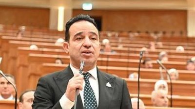 النائب محمد إسماعيل  