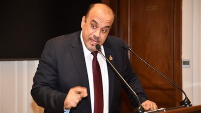 النائب إيهاب إمام 