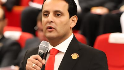 برلماني: الأوكتاجون نواة صلبة وعقل مصر الذكي