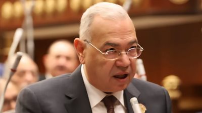 برلماني: كلمة الرئيس السيسي من الاوكتاجون تؤسس لمرحلة الدولة القوية