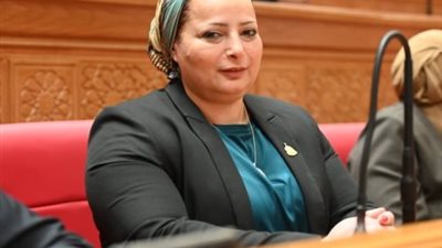 النائبة مروة حسان  