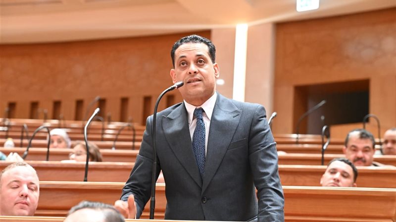 النائب محمد نشأت العمده 