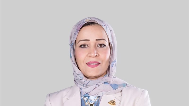 النائبة نجوي الألفي