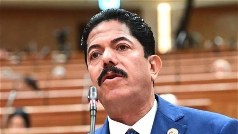 النائب  علاء سليمان الحديوي