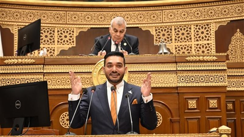 النائب نشأت حتة