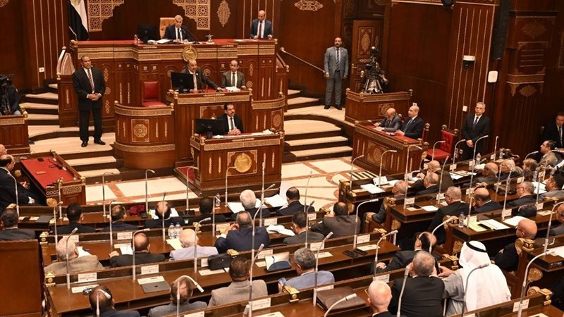 مجلس الشيوخ 
