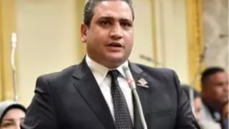 النائب عماد خليل