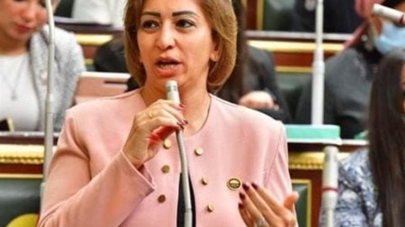  النائبة مها عبد الناصر