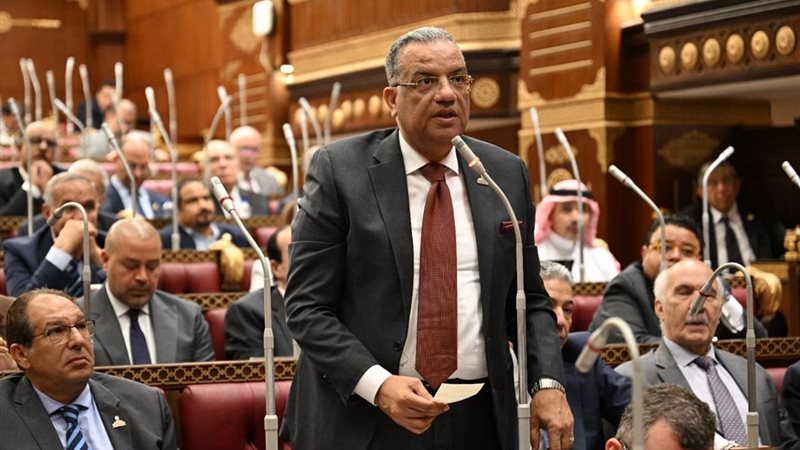 النائب محمود مسلم 