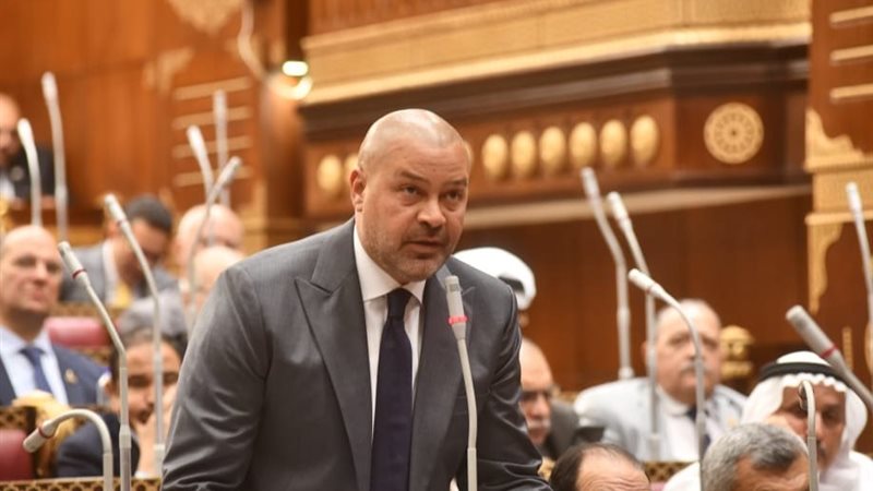  النائب أحمد دياب