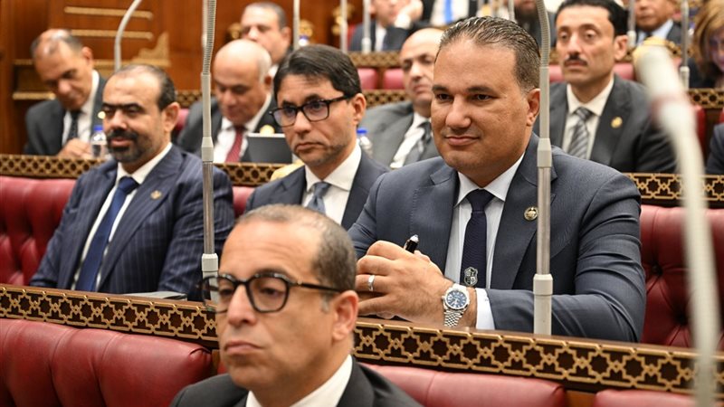  النائب تامر عبد الحميد
