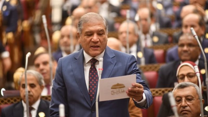  الدكتور عفت السادات