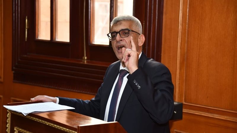  النائب محمد سلامة