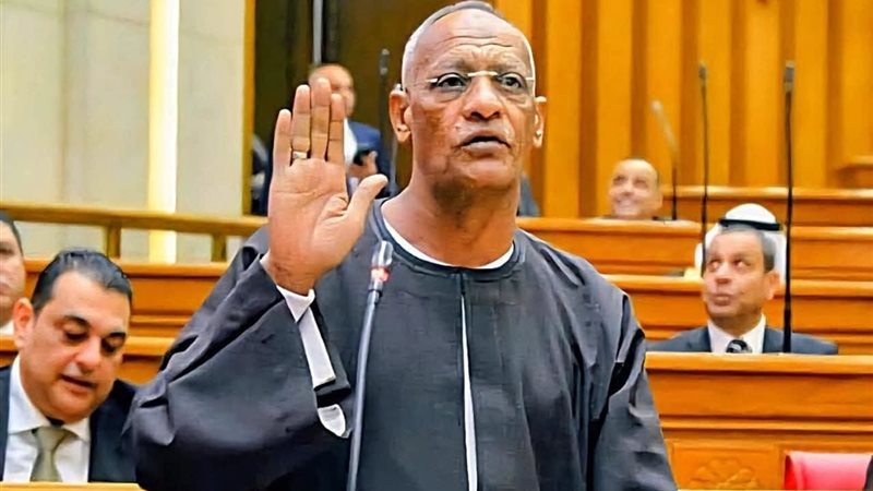 النائب مدحت ركابي 