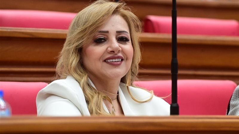 النائبة هبة غالي 