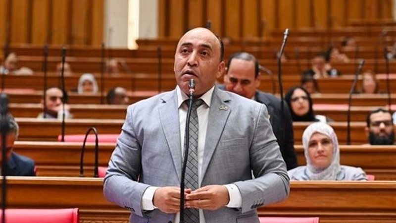  النائب حسام حسن الخشت