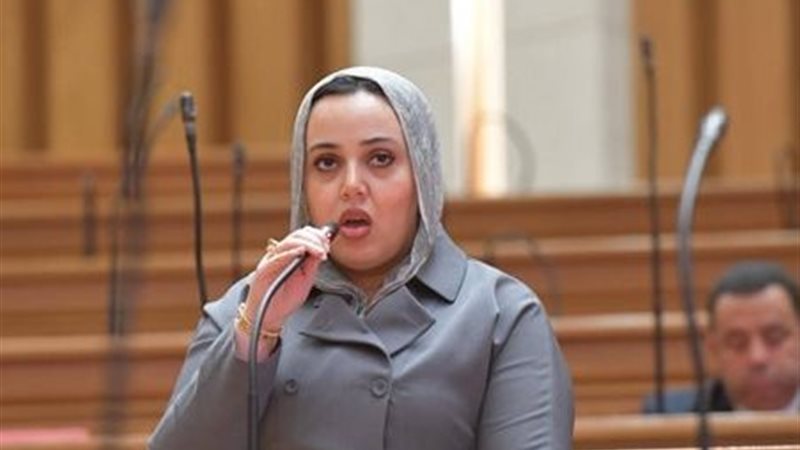  النائبة دنيا هاني