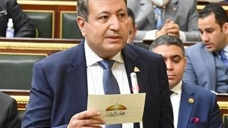  النائب طارق شكري